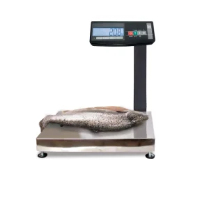 МК-AВ11 настольные весы влагозащищенные с автономным питанием