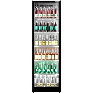 Шкаф холодильный для напитков POLAIR Visual V620